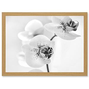 Artery8 - Orchid Flower - Black White - Framed Wall Art Print Artery8 - Orchid Flower - Black White - Framed Wall Art Print