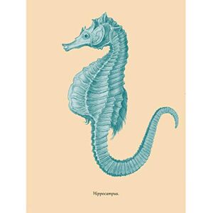 Wee Blue Coo Sea Horse Hippocampus Blue Large Wall Art Print Canvas Premium Poster Wee Blue Coo Sea Horse Hippocampus Blue Large Wall Art Print Canvas Premium Poster