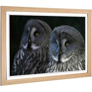 Big Box Art Framed Print of Dark Grey Owls Birds Design Wall Art Picture Home Decor for Kitchen, Living, Dining Room, Lounge, Bedroom, Hallway, Office, Oak, A2 / 24.5x18 Inch / 62x45cm Big Box Art Framed Print of Dark Grey Owls Birds Design Wall Art Picture Home Decor for Kitchen, Living, Dining Room, Lounge, Bedroom, Hallway, Office, Oak, A2 / 24.5x18 Inch / 62x45cm
