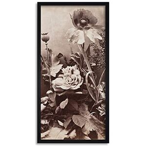 Artery8 Charles Aubry Roses Poppies And Carnations Photo Framed Wall Art Print Long 25X12 Inch Artery8 Charles Aubry Roses Poppies And Carnations Photo Framed Wall Art Print Long 25X12 Inch