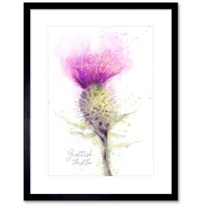 Wee Blue Coo Scottish Thistle Flower Head Watercolour Scotland Framed Art Print Wee Blue Coo Scottish Thistle Flower Head Watercolour Scotland Framed Art Print