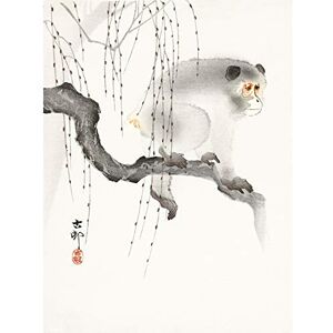 Wee Blue Coo Monkey Tree Branch Ohara Koson Art Print Canvas Premium Wall Decor Poster Wee Blue Coo Monkey Tree Branch Ohara Koson Art Print Canvas Premium Wall Decor Poster