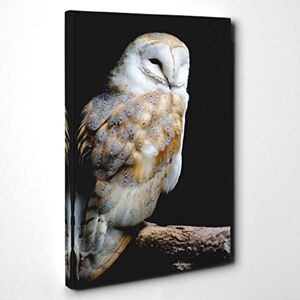 Big Box Art Canvas Print Wall Art Barn Owl Bird (1) Mounted and Stretched Box Frame Picture Home Decor for Kitchen, Living, Dining Room, Bedroom, Hallway, Multi-Colour, 24x16 Inch Big Box Art Canvas Print Wall Art Barn Owl Bird (1) Mounted and Stretched Box Frame Picture Home Decor for Kitchen, Living, Dining Room, Bedroom, Hallway, Multi-Colour, 24x16 Inch