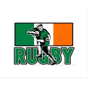 Wee Blue Coo PAINTING SPORT IRELAND RUGBY FOOTBALL FLAG IRISH PLAYER FRAMED PRINT B12X8351 Wee Blue Coo PAINTING SPORT IRELAND RUGBY FOOTBALL FLAG IRISH PLAYER FRAMED PRINT B12X8351