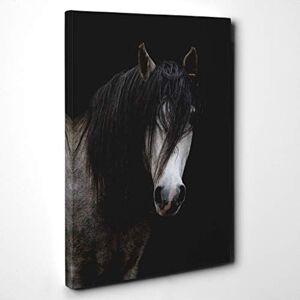 Big Box Art Horse Canvas Print Gallery Wrapped 30mm Frame Wall Art 30x20 inches Ready to Hang Modern Animals Picture Living Room Bedroom Lounge Office Big Box Art Horse Canvas Print Gallery Wrapped 30mm Frame Wall Art 30x20 inches Ready to Hang Modern Animals Picture Living Room Bedroom Lounge Office