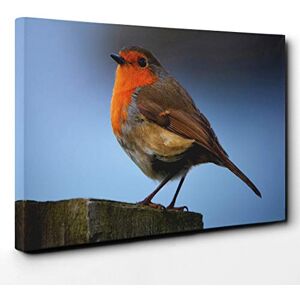 Big Box Art Robin Bird Canvas Print Gallery Wrapped 30mm Frame Wall Art 20x14 inches Ready to Hang Modern Animals Picture Living Room Bedroom Lounge Office Big Box Art Robin Bird Canvas Print Gallery Wrapped 30mm Frame Wall Art 20x14 inches Ready to Hang Modern Animals Picture Living Room Bedroom Lounge Office