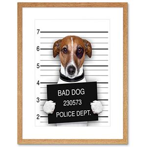 Wee Blue Coo Jack Russell Dog Mugshot Police Bad Picture Framed Wall Art Print Wee Blue Coo Jack Russell Dog Mugshot Police Bad Picture Framed Wall Art Print