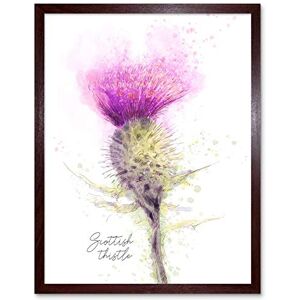 Wee Blue Coo Scottish Thistle Flower Head Watercolour Scotland Art Print Framed Poster Wall Decor 12X16 Inch Wee Blue Coo Scottish Thistle Flower Head Watercolour Scotland Art Print Framed Poster Wall Decor 12X16 Inch