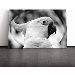 Big Box Art Cockatoo Bird (2) Canvas Print Gallery Wrapped 30mm Frame Wall Art 24x16 inches Ready to Hang Modern Animals Picture Living Room Bedroom Lounge Office Big Box Art Cockatoo Bird (2) Canvas Print Gallery Wrapped 30mm Frame Wall Art 24x16 inches Ready to Hang Modern Animals Picture Living Room Bedroom Lounge Office