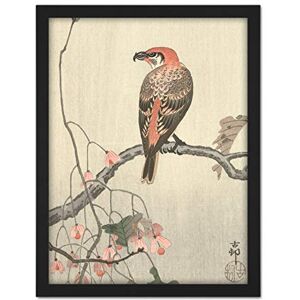 Artery8 Ohara Koson Crossbill On Tree Branch Japanese Artwork Framed Wall Art Print 18X24 Inch Artery8 Ohara Koson Crossbill On Tree Branch Japanese Artwork Framed Wall Art Print 18X24 Inch