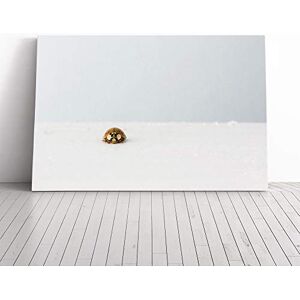 Big Box Art The Lone Ladybird Canvas Print Gallery Wrapped 30mm Frame Wall Art 24x16 inches Ready to Hang Modern Animals Picture Living Room Bedroom Lounge Office Big Box Art The Lone Ladybird Canvas Print Gallery Wrapped 30mm Frame Wall Art 24x16 inches Ready to Hang Modern Animals Picture Living Room Bedroom Lounge Office