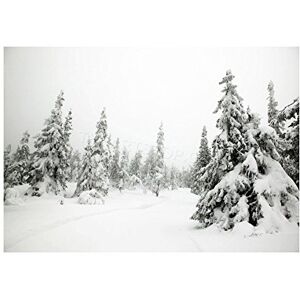 Wee Blue Coo Photo Landscape Winter Scene Snow Forest Trees Wall Art Print Wee Blue Coo Photo Landscape Winter Scene Snow Forest Trees Wall Art Print