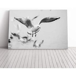 Big Box Art Seagulls Birds Canvas Print Gallery Wrapped 30mm Frame Wall Art 20x14 inches Ready to Hang Modern Bird Picture Living Room Bedroom Lounge Office Big Box Art Seagulls Birds Canvas Print Gallery Wrapped 30mm Frame Wall Art 20x14 inches Ready to Hang Modern Bird Picture Living Room Bedroom Lounge Office