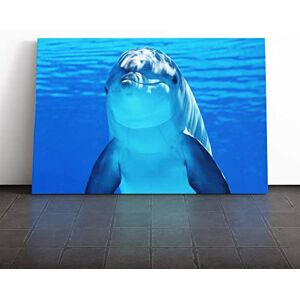 Big Box Art Dolphin (3) Canvas Print Gallery Wrapped 30mm Frame Wall Art 20x14 inches Ready to Hang Modern Animals Picture Living Room Bedroom Lounge Office Big Box Art Dolphin (3) Canvas Print Gallery Wrapped 30mm Frame Wall Art 20x14 inches Ready to Hang Modern Animals Picture Living Room Bedroom Lounge Office