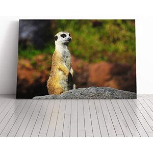 Big Box Art Canvas Print Wall Art Meerkat 4 Mounted and Stretched Box Frame Picture Home Decor for Kitchen, Living, Dining Room, Bedroom, Hallway, Multi-Colour, 30x20 Inch Big Box Art Canvas Print Wall Art Meerkat 4 Mounted and Stretched Box Frame Picture Home Decor for Kitchen, Living, Dining Room, Bedroom, Hallway, Multi-Colour, 30x20 Inch