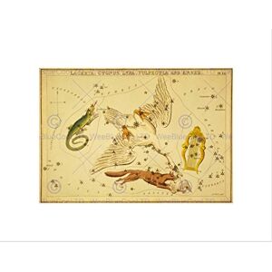 Wee Blue Coo Paintings Drawing Star Map Swan Fox Lyre Constellation Wall Art Print Wee Blue Coo Paintings Drawing Star Map Swan Fox Lyre Constellation Wall Art Print