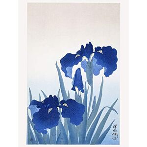 Wee Blue Coo Iris Flowers Ohara Koson Art Print Poster Wall Decor Wee Blue Coo Iris Flowers Ohara Koson Art Print Poster Wall Decor