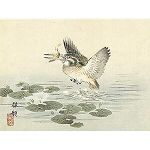 Artery8 Kono Bairei Kingfisher Japanese Woodblock Unframed Wall Art Print Poster Home Decor Premium Artery8 Kono Bairei Kingfisher Japanese Woodblock Unframed Wall Art Print Poster Home Decor Premium