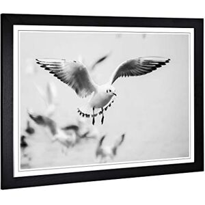 Big Box Art Framed Print of Seagulls Birds Design Wall Art Picture Home Decor for Kitchen, Living, Dining Room, Lounge, Bedroom, Hallway, Office, Black, A2 / 24.5x18 Inch / 62x45cm Big Box Art Framed Print of Seagulls Birds Design Wall Art Picture Home Decor for Kitchen, Living, Dining Room, Lounge, Bedroom, Hallway, Office, Black, A2 / 24.5x18 Inch / 62x45cm