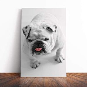 Big Box Art Canvas Print Wall Art White British Bulldog (3) Mounted and Stretched Box Frame Picture Home Decor for Kitchen, Living, Dining Room, Bedroom, Hallway, Multi-Colour, 24x16 Inch Big Box Art Canvas Print Wall Art White British Bulldog (3) Mounted and Stretched Box Frame Picture Home Decor for Kitchen, Living, Dining Room, Bedroom, Hallway, Multi-Colour, 24x16 Inch