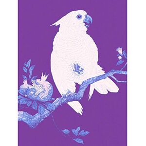 Wee Blue Coo Purple Cockatoo By Ohara Koson Unframed Wall Art Print Poster Home Decor Premium Wee Blue Coo Purple Cockatoo By Ohara Koson Unframed Wall Art Print Poster Home Decor Premium