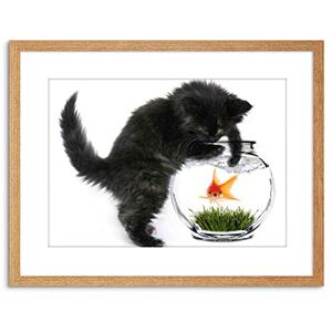 Wee Blue Coo PHOTO BLACK KITTEN CAT PLAYING GOLDFISH BOWL HOME FRAMED PRINT F97X2820 Wee Blue Coo PHOTO BLACK KITTEN CAT PLAYING GOLDFISH BOWL HOME FRAMED PRINT F97X2820