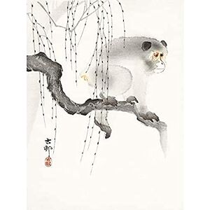 Wee Blue Coo Monkey Tree Branch Ohara Koson Unframed Art Print Poster Wall Decor 12x16 inch Wee Blue Coo Monkey Tree Branch Ohara Koson Unframed Art Print Poster Wall Decor 12x16 inch