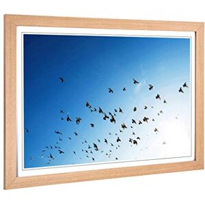 Big Box Art Framed Print of Pigeons Birds Flying Design Wall Art Picture Home Decor for Kitchen, Living, Dining Room, Lounge, Bedroom, Hallway, Office, Oak, A2 / 24.5x18 Inch / 62x45cm Big Box Art Framed Print of Pigeons Birds Flying Design Wall Art Picture Home Decor for Kitchen, Living, Dining Room, Lounge, Bedroom, Hallway, Office, Oak, A2 / 24.5x18 Inch / 62x45cm