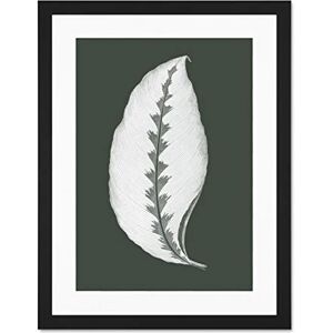 Wee Blue Coo Botanics Hunter Green Jungle Leaf Large Black Framed Art Print Wall Poster 18x24 inch Wee Blue Coo Botanics Hunter Green Jungle Leaf Large Black Framed Art Print Wall Poster 18x24 inch