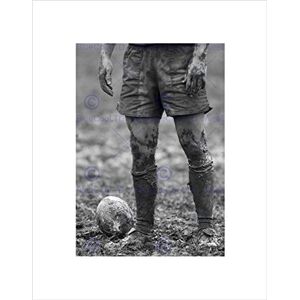 Wee Blue Coo Dt Ball Rugby Mud Bowl Art Wall Art Print Wee Blue Coo Dt Ball Rugby Mud Bowl Art Wall Art Print