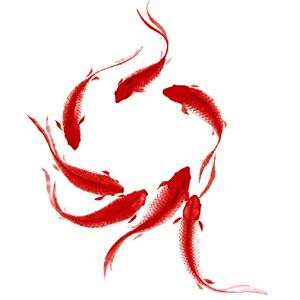 Wee Blue Coo Koi Fish Painting Large Wall Art Print Canvas Premium Poster Wee Blue Coo Koi Fish Painting Large Wall Art Print Canvas Premium Poster