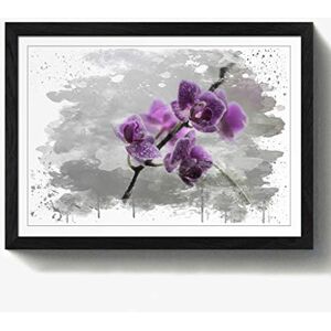 Arty Pie Framed Print Black A2 (24.5x18 Inch) Flower Purple Orchid (5) V3, Wood, Multi-Colour, 60 x 42 x 2 cm Arty Pie Framed Print Black A2 (24.5x18 Inch) Flower Purple Orchid (5) V3, Wood, Multi-Colour, 60 x 42 x 2 cm