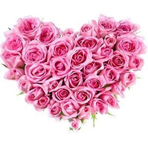 Wee Blue Coo PHOTO COMPOSITION FLOWER PINK ROSES LOVE HEART SHAPE FRAMED ART PRINT B12X8380 Wee Blue Coo PHOTO COMPOSITION FLOWER PINK ROSES LOVE HEART SHAPE FRAMED ART PRINT B12X8380