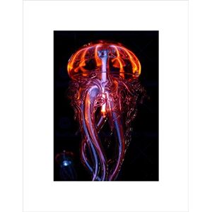 Wee Blue Coo PHOTOGRAPH NATURE ANIMAL JELLYFISH NEON LIGHT EFFECT FRAMED ART PRINT B12X3882 Wee Blue Coo PHOTOGRAPH NATURE ANIMAL JELLYFISH NEON LIGHT EFFECT FRAMED ART PRINT B12X3882