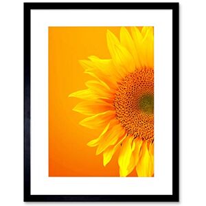 Wee Blue Coo Single Sunflower Bloom Orange Yellow Black Framed Art Print Picture B12X9593 Wee Blue Coo Single Sunflower Bloom Orange Yellow Black Framed Art Print Picture B12X9593
