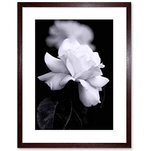 Wee Blue Coo Photo Nature Black White Rose Petal Flower Framed Wall Art Print Wee Blue Coo Photo Nature Black White Rose Petal Flower Framed Wall Art Print