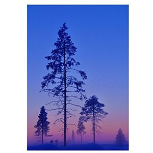 Wee Blue Coo Photo Landscape Winter Trees Purple Haze Dusk Sunset Wall Art Print Wee Blue Coo Photo Landscape Winter Trees Purple Haze Dusk Sunset Wall Art Print