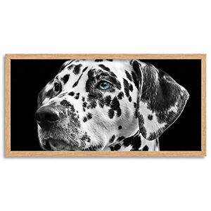 Wee Blue Coo Dalmatian Dog Face Head Long Panel Framed Wall Art Print Wee Blue Coo Dalmatian Dog Face Head Long Panel Framed Wall Art Print