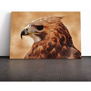 Big Box Art Hawk Bird Canvas Print Gallery Wrapped 30mm Frame Wall Art 24x16 inches Ready to Hang Modern Animals Picture Living Room Bedroom Lounge Office Big Box Art Hawk Bird Canvas Print Gallery Wrapped 30mm Frame Wall Art 24x16 inches Ready to Hang Modern Animals Picture Living Room Bedroom Lounge Office