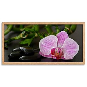 Wee Blue Coo Pink Orchid Pretty Flower Long Panel Framed Wall Art Print Wee Blue Coo Pink Orchid Pretty Flower Long Panel Framed Wall Art Print