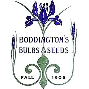 Wee Blue Coo Vintage Advert Boddingtons Seeds Bulbs Fall 1906 Unframed Art Print Poster Wall Decor 12x16 inch Wee Blue Coo Vintage Advert Boddingtons Seeds Bulbs Fall 1906 Unframed Art Print Poster Wall Decor 12x16 inch