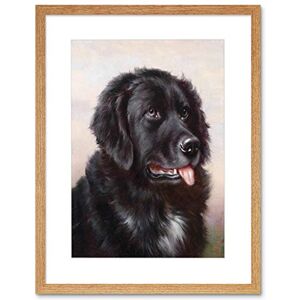 Wee Blue Coo Painting Animal Reichert Newfoundland Dog Hound Framed Wall Art Print Wee Blue Coo Painting Animal Reichert Newfoundland Dog Hound Framed Wall Art Print