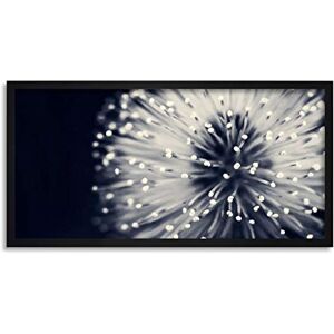 Wee Blue Coo Flower Head Stamen Long Panel Framed Wall Art Print Wee Blue Coo Flower Head Stamen Long Panel Framed Wall Art Print