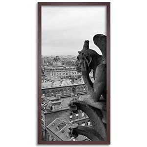 Wee Blue Coo Gargoyle Paris France Grotesque Long Panel Framed Wall Art Print Wee Blue Coo Gargoyle Paris France Grotesque Long Panel Framed Wall Art Print
