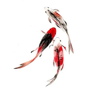 Wee Blue Coo Japanese Koi Fish Black And Red Art Print Poster Wall Decor 12X16 Inch Wee Blue Coo Japanese Koi Fish Black And Red Art Print Poster Wall Decor 12X16 Inch