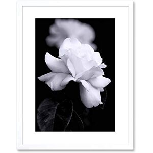Wee Blue Coo PHOTO NATURE BLACK WHITE ROSE PETAL FLOWER FRAMED PRINT F97X4204 Wee Blue Coo PHOTO NATURE BLACK WHITE ROSE PETAL FLOWER FRAMED PRINT F97X4204