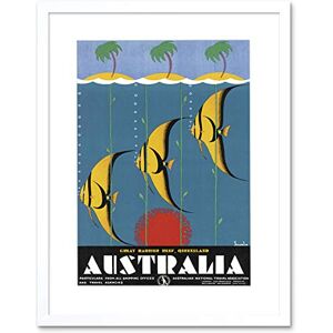 Wee Blue Coo Great Barrier Reef Queensland Australia Fish Picture Framed Wall Art Print Wee Blue Coo Great Barrier Reef Queensland Australia Fish Picture Framed Wall Art Print