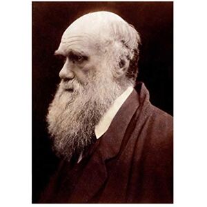 Wee Blue Coo Photo Portrait Cameron Naturalist Charles Robert Darwin Wall Art Print Wee Blue Coo Photo Portrait Cameron Naturalist Charles Robert Darwin Wall Art Print