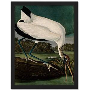 Artery8 Audubon Birds Wood Ibis Painting Artwork Framed Wall Art Print 18X24 Inch Artery8 Audubon Birds Wood Ibis Painting Artwork Framed Wall Art Print 18X24 Inch