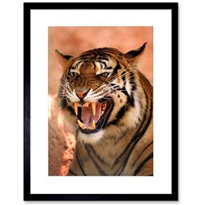 Wee Blue Coo TIGER ROARING TEETH FIERCE BLACK FRAME FRAMED ART PRINT PICTURE MOUNT B12X8783 Wee Blue Coo TIGER ROARING TEETH FIERCE BLACK FRAME FRAMED ART PRINT PICTURE MOUNT B12X8783